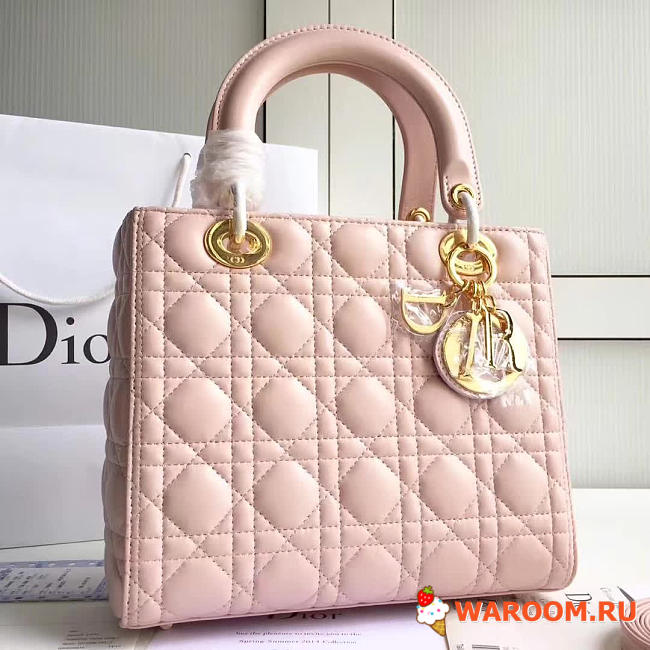 CohotBag lady dior 1570 - 1