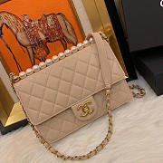 Chanel classic rhomboid cover bag beige 21x4x16 - 1