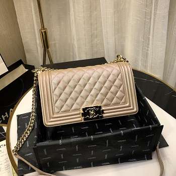 Chanel leboy 2019 pearlescent chain shoulderbag 67086