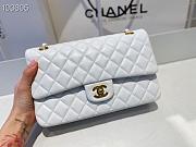 CHANEL Flap Bag White & Golden Chain A01112 25cm - 6