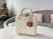 DIOR MY ABC LADY Bag White 20cm - 4
