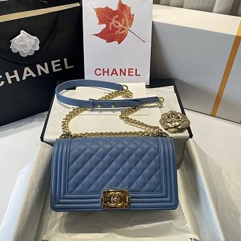 Chanel Medium Boy Bag Classic Gold-tone Metal Grained Leather Sky Blue A67086 25cm