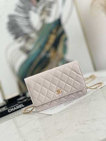 Chanel Wallet On Chain Light Pink AP2298 19.2 × 12.3 x 3.5 cm