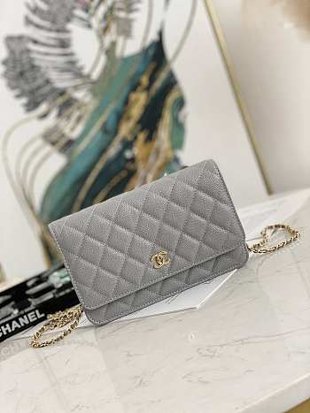 Chanel Wallet On Chain Gray AP2298 19.2 × 12.3 x 3.5 cm