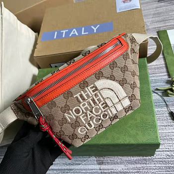 The North Face x Gucci belt bag 22cm