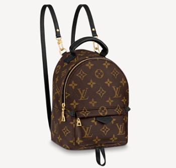 Louis Vuitton Palm Springs Mini Backpack M44873 17cm