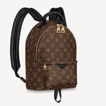 Louis Vuitton Palm Springs PM Backpack M44871 22 x 29 x 10 cm