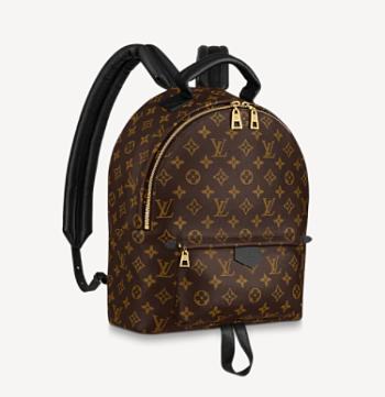 Louis Vuitton Palm Springs MM Backpack M44874 30cm