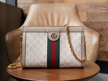 Gucci Ophidia GG small shoulder bag Oatmeal leather 503877   - 26x17.5x8cm