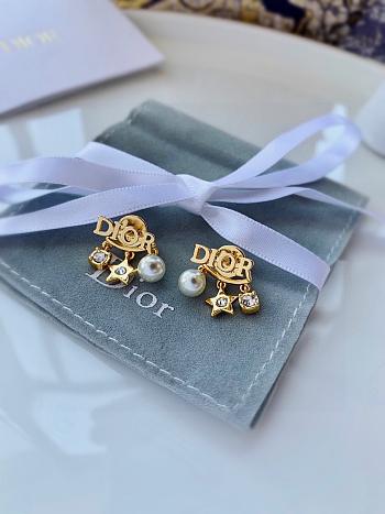 DIOR EVOLUTION earrings 01
