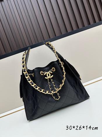 chanel 25c hobo 6 color 30cm
